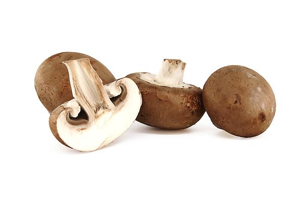 포토 JPG 해외이미지 식물 계절 음식 백그라운드 다이어트 채소 재료 자연 탁자 건강 요리 사람없음 목재 갈색 주방 식사 저녁식사 버섯 가을 흰색 시골 신선 그룹 맛 숲 먹기 유기농 날것 내추럴 고립 곰팡이 식용 채식주의자 캡모자 맛있는 해외202310 해외포토 나무 모자_잡화 웰빙 컬러 가구 컨셉 모션 생태계 채식 파일형식