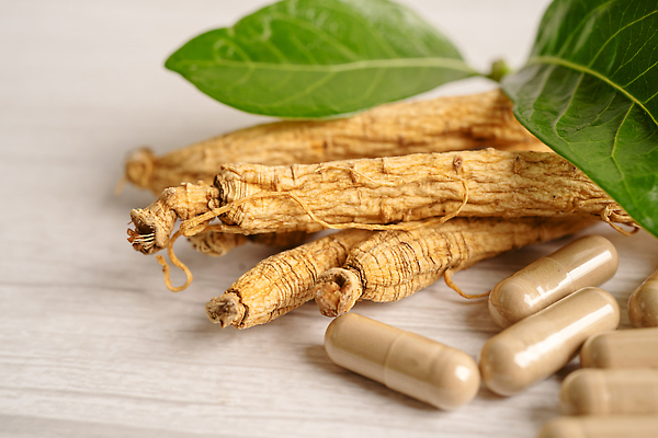 포토 JPG 해외이미지 건강 사람없음 알약 약 인삼 허브 유기농 나무배경 해외202310 해외포토 식물 웰빙 백그라운드 의학 삼 파일형식