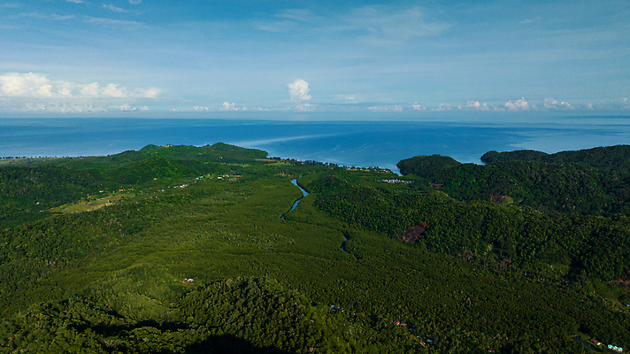 포토 JPG 해외이미지 나무 식물 구름 공원 아시아 바다 여행 잎 자연 하늘 동양인 풍경 사람없음 야외 목재 초록색 하이앵글 야자수 환경 계곡 시골 정상 숲 열대우림 언덕 장면 말레이시아 항공촬영 삼림지대 절정 조감도 해외202310 해외포토 자연요소 공공시설 나라 뷰포인트 컬러 재료 인종 생태계 파일형식