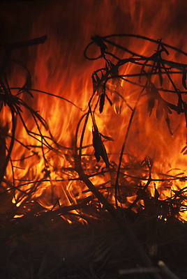 포토 JPG 해외이미지 디자인 백그라운드 오렌지 벽지 추상 불꽃 따뜻함 요리 사람없음 빛 노란색 검은색 힘 에너지 뜨거움 닫기 위험 모닥불 바비큐 소방관 굽기 묘사 질감 화재 열정 엘리먼트 지옥 화상 해외202310 해외포토 감정 음식 컬러 컨셉 무늬 과일 모션 불 상처 구조원 소방 사건 구이 파일형식