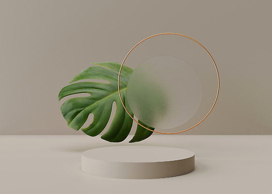 포토 JPG 해외이미지 선 백그라운드 나뭇잎 사람없음 공간 원형 단상 포디움 해외202310 해외포토 도형 잎 무대 파일형식