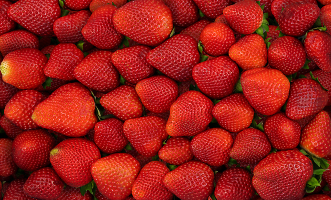 포토 JPG 해외이미지 과일 딸기 사람없음 빨간색 무더기 해외202310 해외포토 컬러 파일형식