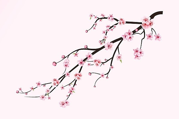 EPS 해외이미지 분홍색 일러스트 봄꽃 사람없음 벚꽃 꽃가지 해외202310 해외일러스트 꽃 컬러 봄 나뭇가지 파일형식 벡터