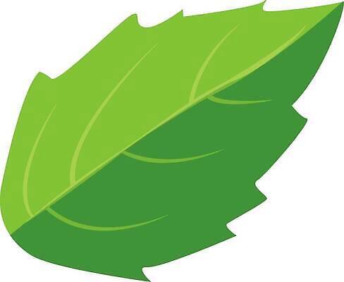 EPS 해외이미지 식물 접시 디자인 음식 백그라운드 잎 채소 일러스트 재료 자연 건강 요리 그래픽 초록색 정원 샐러드 흰색 신선 만화 허브 향신료 유기농 날것 아로마 향 바질 내추럴 고립 엘리먼트 오레가노 채식주의자 벡터 맛있는 해외202310 해외일러스트 식기 웰빙 컬러 생태계 채식 향미료 파일형식