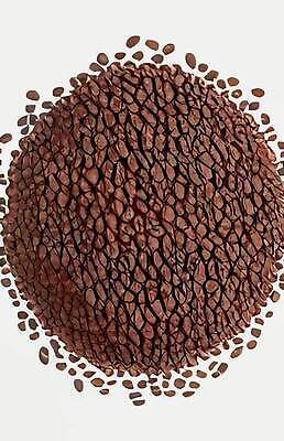 EPS 해외이미지 동물 디자인 얼굴 야생동물 선 컬러 백그라운드 컨셉 일러스트 포유류 아프리카 자연 벽지 추상 동물원 미술 그래픽 빛 컬러풀 뷰티 머리 고양이 힘 에너지 위험 사자 왕 심볼 사인 네온 육식동물 사자자리 고립 광 엘리먼트 벡터 효과 해외202310 해외일러스트 나라 무늬 문화예술 신체부위 반려동물 별자리 생태계 파일형식