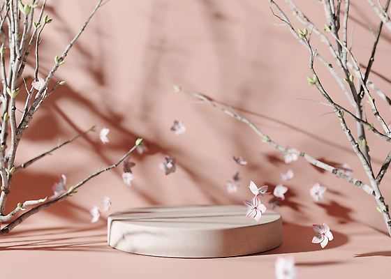 포토 JPG 해외이미지 분홍색 백그라운드 사람없음 공간 벚꽃 나뭇가지 원형 단상 포디움 해외202310 해외포토 도형 나무 꽃 컬러 무대 파일형식