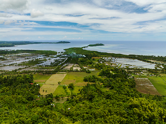 포토 JPG 해외이미지 나무 구름 공원 바다 섬 여행 농업 자연 하늘 휴가 풍경 사람없음 야외 물 여름 하이앵글 야자수 농경지 농사 수확 시골 만 숲 휴양지 항공촬영 논밭 심기 조감도 해외202310 해외포토 자연요소 식물 계절 공공시설 산업 뷰포인트 밭 모션 논 농장 장소 생태계 파일형식