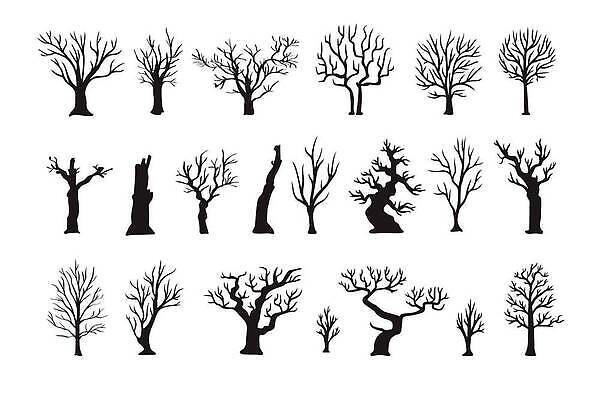 EPS 해외이미지 모양 나무 식물 디자인 계절 실루엣 줄기 백그라운드 낙엽 겨울 꽃무늬 패턴 일러스트 자연 추상 건조 미술 야외 목재 그래픽 장식 세트 검은색 흰색 나뭇가지 죽음 신용카드 플랫 숲 수집 그림 심플 윤곽 내추럴 고립 벌거벗은 엘리먼트 벡터 해외202310 해외일러스트 꽃 컬러 잎 무늬 재료 문화예술 촬영기법 금융 생태계 파일형식