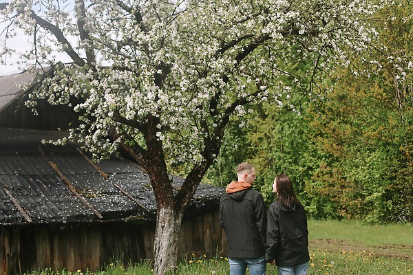 포토 JPG 해외이미지 백인 라이프스타일 커플 공원 행복 감정 얼굴 2 데이트 가족 관계 포옹 자연 남편 휴가 함께함 사랑 사람 성인 야외 두명 귀여움 정원 봄 산책 기쁨 낭만 벚꽃 시골 표현 즐거움 열정 내추럴 순간 해외202310 해외포토 서양인 계절 공공시설 꽃 컨셉 안기 휴식 생활 신체부위 생태계 파일형식