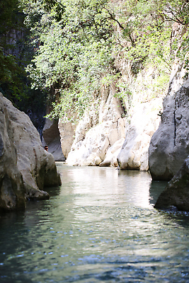 포토 JPG 해외이미지 나무 길 밧줄 여행 자연 하늘 휴가 산 국립공원 풍경 사람없음 야외 목재 초록색 물 여름 강 평화 마을 식당 골짜기 봄 트래킹 시골 신선 개울 숲 지중해 그리스 그리스인 방법 이국적 그리너리 해외202310 해외포토 자연요소 서양인 식물 계절 공원 유럽 줄 바다 컬러 컨셉 재료 레저 상점 생태계 파일형식 트랜드컬러
