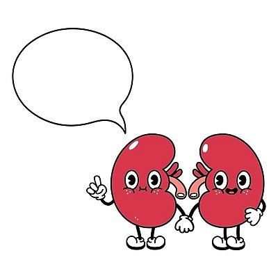 EPS 해외이미지 무료이미지 캐릭터 말풍선 일러스트 건강 신장 해외202310 해외일러스트 비뇨기관 파일형식 벡터 무료콘텐츠