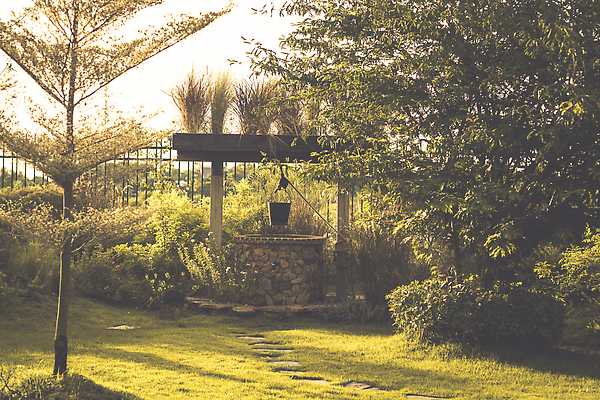 포토 JPG 해외이미지 나무 전통 공원 아시아 문화 여행 건축양식 자연 주택 사람없음 야외 건물 목재 초록색 물 뷰티 농장 마을 정원 일본 봄 수확 골동품 시골 연못 역사 숲 양동이 옛날 전국 해외202310 해외포토 자연요소 식물 건축물 계절 공공시설 건축 나라 컬러 농업 재료 생태계 파일형식
