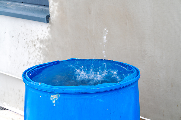 포토 JPG 해외이미지 식물 계절 음료 백그라운드 자연 표면 추상 주택 통 사람없음 야외 초록색 물 여름 파란색 환경 정원 재활용 장비 젖음 모임 수확 신선 잡기 액체 컨테이너 플라스틱 수집 양동이 가득함 생태계 원예 파이프 탱크 수납 빗물 내추럴 생태학 옛날 해외202310 해외포토 자연요소 교육 산업 컬러 무늬 농업 모션 재질 취미 건물 비_날씨 친환경 파일형식