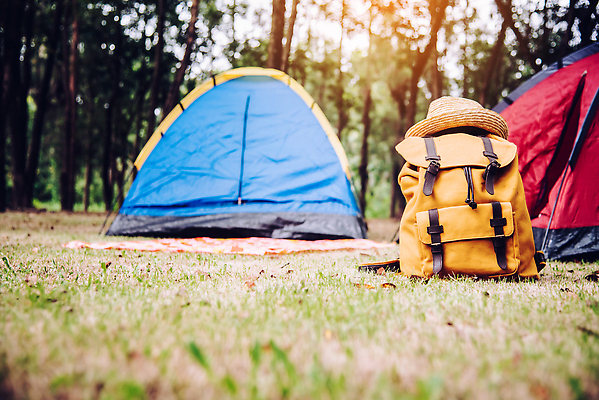 포토 JPG 해외이미지 나무 계절 공원 스포츠 여행 백그라운드 가방 배낭 자연 탁자 휴가 산 텐트 풍경 사람없음 야외 초록색 여름 파란색 뷰티 트래킹 하이킹 장비 짐 가을 숲 짐싸기 해외202310 해외포토 식물 잡화 공공시설 컬러 가구 레저 캠핑도구 생태계 파일형식