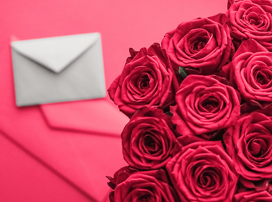 포토 JPG 해외이미지 분홍색 꽃다발 백그라운드 편지봉투 발렌타인데이 사람없음 장미 러브레터 해외포토 꽃 컬러 데이이벤트 봉투 편지 파일형식