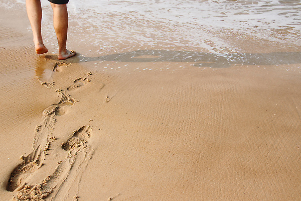 포토 JPG 해외이미지 라이프스타일 모래 자연 휴식 건강 사람없음 야외 여름 걷기 자유 신선 카피스페이스 해외202310 해외포토 계절 컨셉 모션 생활 공백 생태계 파일형식