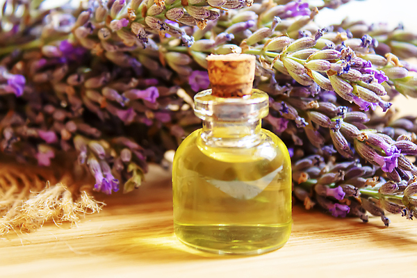 포토 JPG 해외이미지 근접촬영 사람없음 아웃포커스 오일 아로마테라피 라벤더 내추럴 에센스 해외202310 해외포토 꽃 음식 뷰포인트 촬영기법 화장품 허브 테라피 파일형식