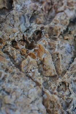 포토 JPG 해외이미지 디자인 공원 파도 바다 백그라운드 패턴 자연 벽지 조류 표면 추상 휴가 잉크 안테나 동양인 사람없음 파란색 뷰티 우주 힘 거품 수확 얼룩 거친 액체 그림 질감 초대 대리석 손그림 드론 마블링 슬라이드 해외202310 해외포토 동물 공공시설 컬러 무늬 농업 재료 통신 인종 생태계 파일형식