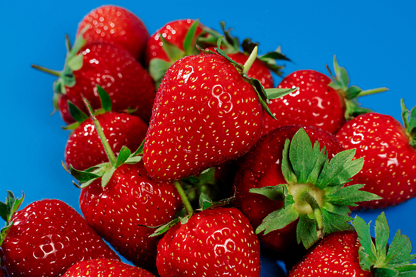 포토 JPG 해외이미지 과일 딸기 사람없음 빨간색 파란배경 무더기 해외202310 해외포토 컬러 백그라운드 파란색 파일형식