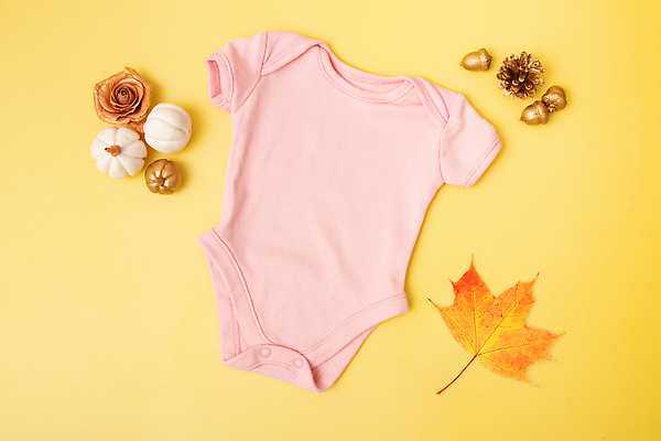 포토 JPG 해외이미지 디자인 어린이 백그라운드 컨셉 티셔츠 잎 채소 호박 아이디어 사람없음 공백 할로윈 수확 아기 직물 인사 그룹 황금 플랫 숲 11월 추수감사절 10월 카피스페이스 미니멀리스트 미니멀 비어있는 해외202310 해외포토 식물 기독교 셔츠 농업 사람 예절 날짜 파일형식