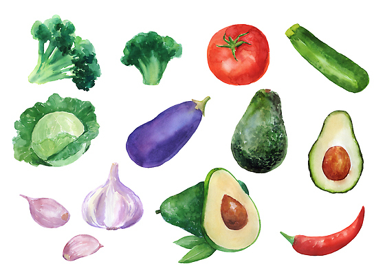 포토 JPG 해외이미지 식물 손 음식 줄기 백그라운드 농업 다이어트 토마토 채소 일러스트 재료 자연 고추 가지 건강 마늘 요리 미술 사람없음 초록색 세트 페인트 수확 흰색 신선 빨래 브로콜리 스케치 수집 먹기 싱글 그림 유기농 양배추 날것 후추 아보카도 고립 숙성 주키니 채식주의자 해외202310 해외일러스트 웰빙 산업 컬러 가사 과일 모션 문화예술 신체부위 향신료 생태계 채식 파일형식