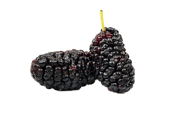 포토 JPG 해외이미지 열매 음식 컬러 백그라운드 잎 2 다이어트 과일 재료 자연 디저트 건강 씨앗 사람없음 여름 빛 보라색 검은색 식사 어둠 흰색 신선 달콤 맛 제비꽃 오브젝트 상쾌 유기농 내추럴 고립 숙성 채식주의자 맛있는 해외202310 해외포토 식물 웰빙 계절 꽃 감정 컨셉 생태계 채식 파일형식