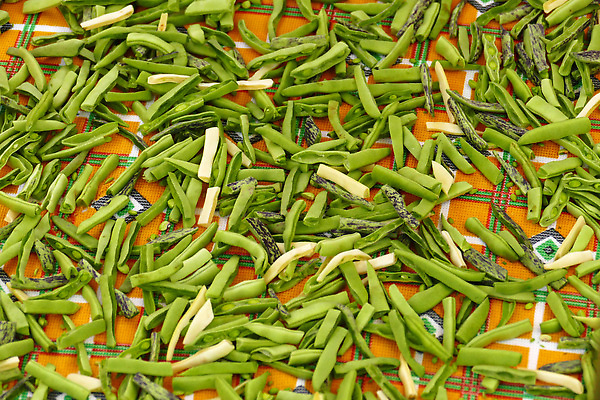 포토 JPG 해외이미지 식물 음식 백그라운드 농업 다이어트 자연 콩 건조 건강 사람없음 초록색 수확 유기농 내추럴 밭일 숙성 해외202310 해외포토 웰빙 산업 컬러 곡류 생태계 파일형식