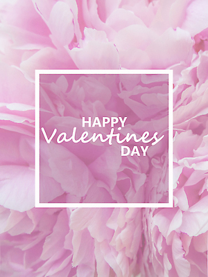 포토 JPG 해외이미지 디자인 여자 꽃잎 꽃 행복 분홍색 컬러 꽃다발 결혼 백그라운드 꽃무늬 텍스트 가족 관계 포옹 자연 추상 휴가 함께함 발렌타인데이 선물 사랑 사람없음 장식 빛 컬러풀 뷰티 낭만 수확 흰색 축하 인사 신선 신용카드 생일 배열 싱글 2월 존재 해외202310 해외포토 식물 기념일 감정 컨셉 무늬 농업 안기 데이이벤트 사람 이벤트 금융 예절 날짜 생태계 파일형식