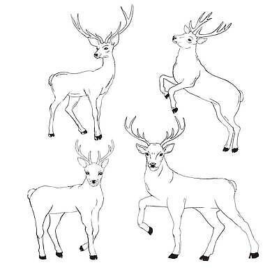 EPS 해외이미지 모양 동물 척추동물 디자인 남자 실루엣 야생동물 백그라운드 패턴 일러스트 포유류 자연 사슴 털 뿔 미술 그래픽 장식 세트 뷰티 머리 디지털 검은색 흰색 황무지 큼 스케치 심볼 오브젝트 사인 그림 클립 윤곽 영양 고립 순록 암사슴 엘리먼트 총구 벡터 해외202310 해외일러스트 컬러 무늬 문화예술 촬영기법 사람 신체부위 크기 암컷 생태계 파일형식