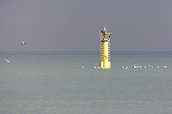 포토 JPG 해외이미지 동물 바다 갈매기 조류 하늘 등대 사람없음 파란색 노란색 흰색 해외202310 해외포토 컬러 파일형식