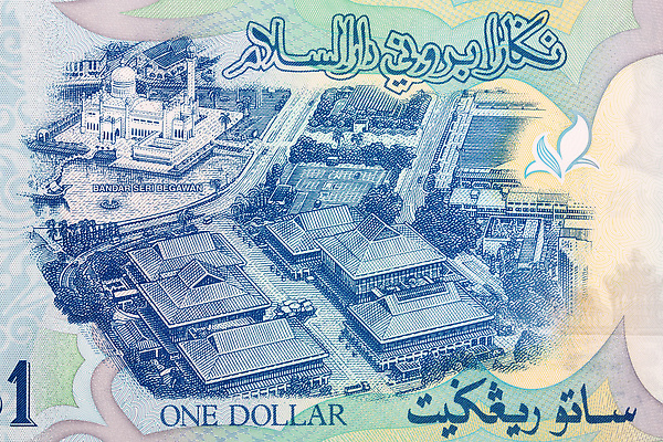 포토 JPG 해외이미지 지폐 돈 비즈니스 건축양식 사람없음 건물 금융 경제 달러 쪽지 도시 타운 해외202310 해외포토 건축물 건축 재산 파일형식