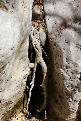 포토 JPG 해외이미지 나무 길 밧줄 여행 자연 하늘 휴가 산 국립공원 풍경 사람없음 야외 목재 초록색 물 여름 강 평화 마을 식당 골짜기 봄 트래킹 시골 신선 개울 숲 지중해 그리스 그리스인 방법 이국적 그리너리 해외202310 해외포토 자연요소 서양인 식물 계절 공원 유럽 줄 바다 컬러 컨셉 재료 레저 상점 생태계 파일형식 트랜드컬러