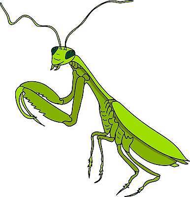 EPS 해외이미지 동물 캐릭터 손 디자인 교육 어린이 컬러 곤충 날개 일러스트 자연 미술 성인 장식 책 여름 정원 검은색 수확 흰색 벌레 숲 인쇄 만화 스케치 딱정벌레 심볼 그림 윤곽 페이지 공상 내추럴 벡터 해외202310 해외일러스트 일러캐릭터 계절 농업 문화예술 사람 신체부위 생태계 파일형식