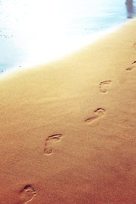 포토 JPG 해외이미지 길 모래 파도 바다 여행 자국 맨발 자연 휴가 휴식 사람 해변 사람없음 야외 물 모래사장 햇빛 태양 평화 걷기 맑음 일몰 산책 사막 자유 인쇄 발자국 질감 단계 방법 선로 양발 자취 혼자 각인 해외202310 해외포토 자연요소 컨셉 모션 발 날씨 노을 생태계 파일형식