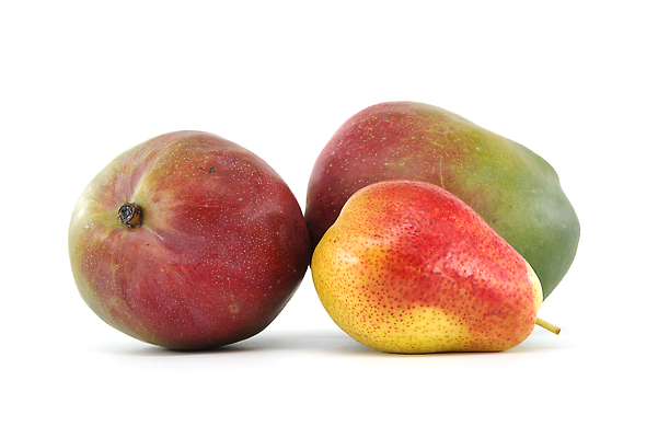 포토 JPG 해외이미지 음료 음식 컬러 백그라운드 농업 다이어트 오렌지 과일 재료 자연 디저트 건강 사람없음 빨간색 초록색 여름 컬러풀 노란색 주스 수확 흰색 신선 그룹 달콤 맛 자르기 오브젝트 상쾌 유기농 날것 망고 비타민 내추럴 고립 숙성 채식주의자 맛있는 해외202310 해외포토 웰빙 계절 감정 산업 컨셉 모션 열대과일 생태계 채식 영양소 파일형식