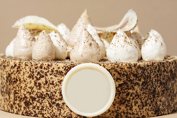 포토 JPG 해외이미지 디저트 사람없음 장식 빛 갈색 케이크 기쁨 흰색 대접 달콤 맛 설탕 뿌리기 크림 토핑 결정체 반투명 식용 입가심 프로스팅 맛있는 해외202310 해외포토 감정 음식 컬러 컨셉 모션 제빵 파일형식