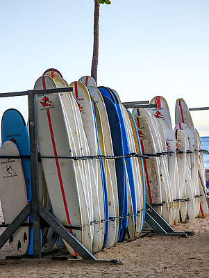 포토 JPG 해외이미지 나무 라이프스타일 모래 스포츠 파도 여행 자연 휴가 휴식 손바닥 서기 사람없음 야외 여름 세일 여행객 평화 상점 미국 침묵 꿈 자유 판넬 서핑보드 서핑 시원함 오브젝트 하와이 캘리포니아 서퍼 대여 렌탈 무료 해외202310 해외포토 식물 손 계절 바다 컨셉 북아메리카 모션 운동선수 사람 생활 소리 수상스포츠 보드_스포츠 생태계 파일형식