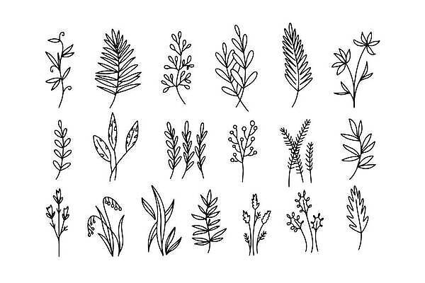 EPS 해외이미지 나무 식물 꽃 실루엣 백그라운드 잎 꽃무늬 일러스트 자연 추상 미술 장식 초록색 세트 정원 봄 수확 나뭇가지 낙서 스케치 허브 그림 심플 윤곽 내추럴 고립 엘리먼트 벡터 해외202310 해외일러스트 계절 컬러 무늬 농업 문화예술 촬영기법 생태계 파일형식