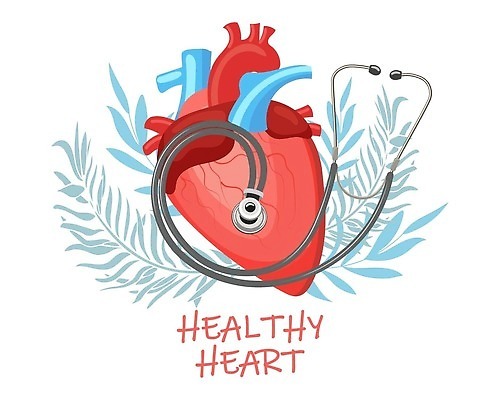 EPS 해외이미지 배너 포스터 과학 백그라운드 컨셉 잎 일러스트 청진기 건강 병원 그래픽 약 건강관리 장비 심장 오르간 질병 돌봄 심장병 벡터 해외202310 해외일러스트 식물 의학 의료기기 모션 관리 장기_의학 건반악기 파일형식