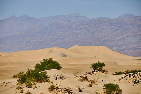 포토 JPG 해외이미지 공원 지구 모래 여행 오렌지 하늘 산 건조 국립공원 그림자 사람없음 야외 초록색 모래사장 태양 노란색 맑음 흙 사막 탐험 뜨거움 모래언덕 언덕 캘리포니아 암초 가뭄 모로코 해외202310 해외포토 자연요소 공공시설 바다 컬러 과일 아프리카 날씨 미국 파일형식