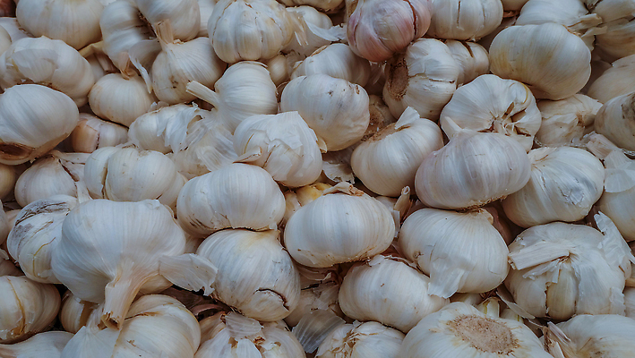 포토 JPG 해외이미지 백그라운드 농업 건강 마늘 사람없음 주방 수확 흰색 시장 유기농 질감 해외202310 해외포토 웰빙 산업 컬러 채소 파일형식