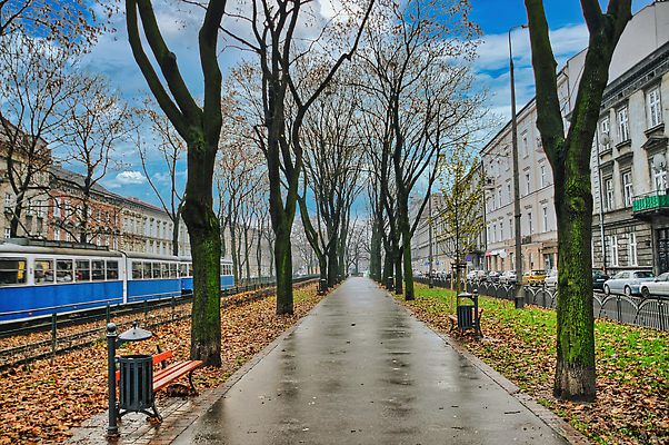 포토 JPG 해외이미지 외관 공원 여행 건축양식 풍경 사람없음 야외 건물 관광지 도시풍경 여행객 가을 도시 역사 오솔길 장면 광택 타운 동유럽 폴란드 랜드마크 옛날 크라쿠프 해외202310 해외포토 건축물 계절 공공시설 건축 유럽 길 사람 파일형식