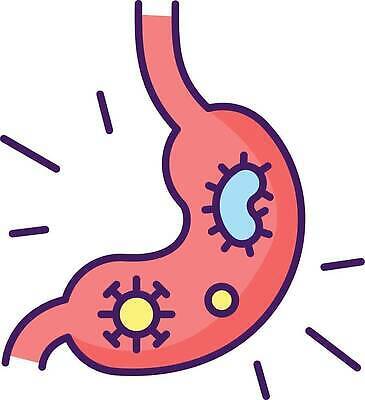 EPS 해외이미지 일러스트 의학 사람없음 바이러스 위_내장기관 해외202310 해외일러스트 장기_의학 파일형식 벡터