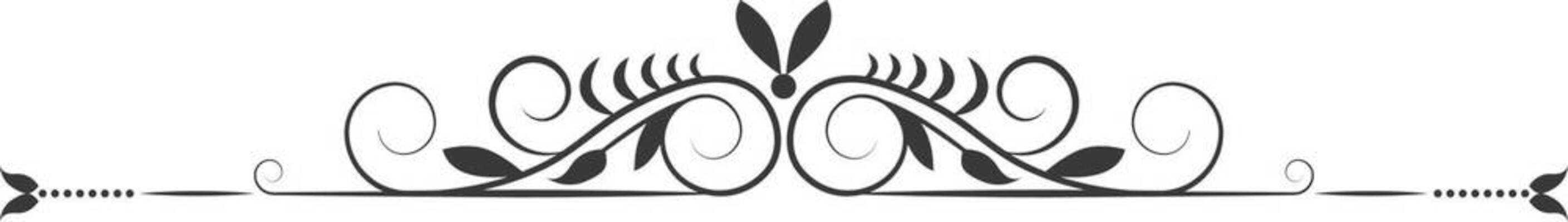 EPS 해외이미지 선 결혼 잎 꽃무늬 일러스트 캘리그라피 텍스트 프레임 미술 장식 책 검은색 수확 골동품 소용돌이 흰색 인사 신용카드 화려 클래식 두루마리 문신 메뉴 복고 윤곽 초대 나누기 타이틀 비네팅 바로크 빅토리아 옛날 스타일 벡터 모노그램 국경 해외202310 해외일러스트 식물 꽃 컬러 컨셉 무늬 농업 문화예술 촬영기법 이벤트 금융 회오리 예절 파일형식