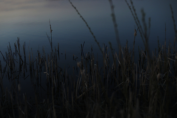 포토 JPG 해외이미지 공원 호수 바다 여행 건축양식 자연 벽지 하늘 표면 아침 추상 휴가 휴식 풍경 사람없음 야외 가로 물 여름 파란색 강 햇빛 뷰티 반사 평화 일출 환경 침묵 황혼 일몰 봄 전원 시골 개울 저녁 강가 그림 휴양지 장면 스카이라인 내추럴 웅장함 해외202310 해외포토 주간 자연요소 계절 공공시설 건축 컬러 컨셉 무늬 태양 노을 소리 장소 전기에너지 야간 생태계 파일형식