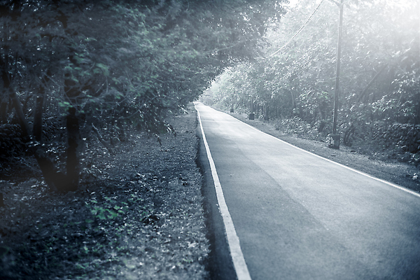 포토 JPG 해외이미지 응시 계절 실루엣 유럽 도로 컬러 여행 백그라운드 겨울 곡선 산 거리 풍경 사람없음 초록색 검은색 어둠 운전 안개 가을 흰색 전원 고속도로 N 야간 숲 아스팔트 언덕 오브젝트 싱글 각도 문학 항공촬영 길가 뿌연 세피아 해외202310 해외포토 자연요소 알파벳 시선 나라 길 선 뷰포인트 교통시설 모션 날씨 촬영기법 전기에너지 파일형식