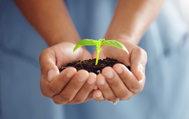 포토 JPG 해외이미지 손 들기 근접촬영 신체부위 새싹 자연보호 희망 흙 성장 손모으기 해외202310 해외포토 식물 감정 뷰포인트 모션 자연 사람 손짓 보호 파일형식