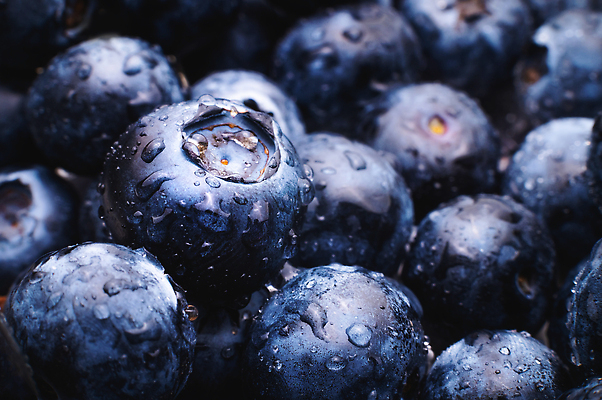 포토 JPG 해외이미지 열매 음식 백그라운드 다이어트 과일 재료 자연 디저트 건강 사람없음 물 파란색 농작물 젖음 수확 물방울 신선 원형 그룹 달콤 맛 소프트포커스 오브젝트 유기농 질감 블루베리 날것 비타민 흙더미 제비 내추럴 숙성 월귤 채식주의자 많음 해외202310 해외포토 자연요소 도형 식물 웰빙 컬러 컨셉 농업 조류 촬영기법 흙 생태계 채식 영양소 파일형식 더미