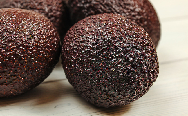 포토 JPG 해외이미지 식물 음식 백그라운드 농업 다이어트 채소 과일 재료 자연 탁자 건강 씨앗 사람없음 목재 초록색 갈색 어둠 흰색 신선 판넬 거친 그룹 맛 정상 피부 책상 유기농 질감 날것 아보카도 내추럴 과카몰리 숙성 이국적 채식주의자 비건 해외202310 해외포토 나무 웰빙 산업 컬러 가구 컨셉 신체부위 소스_음식 생태계 채식 파일형식