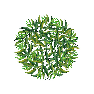 포토 JPG 해외이미지 클립아트 식물 디자인 꽃 꽃다발 결혼 잎 꽃무늬 패턴 일러스트 자연 벽지 추상 프레임 미술 사람없음 그래픽 장식 세트 화환 벚꽃 직물 원형 신용카드 생일 인쇄 만화 스케치 수집 배열 그림 유기농 질감 엽서 손그림 고립 구성 엘리먼트 스타일 해외202310 해외일러스트 도형 웰빙 기념일 무늬 문화예술 이벤트 금융 편지 생태계 파일형식